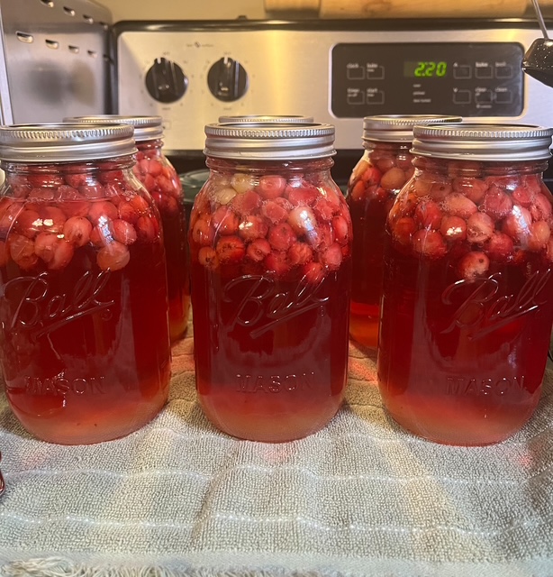 Home Canned Cranberry Juice