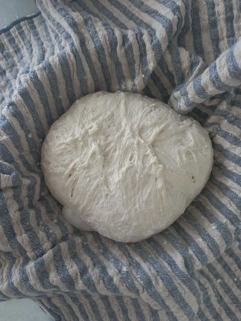 sourdough bread in banneton basket 