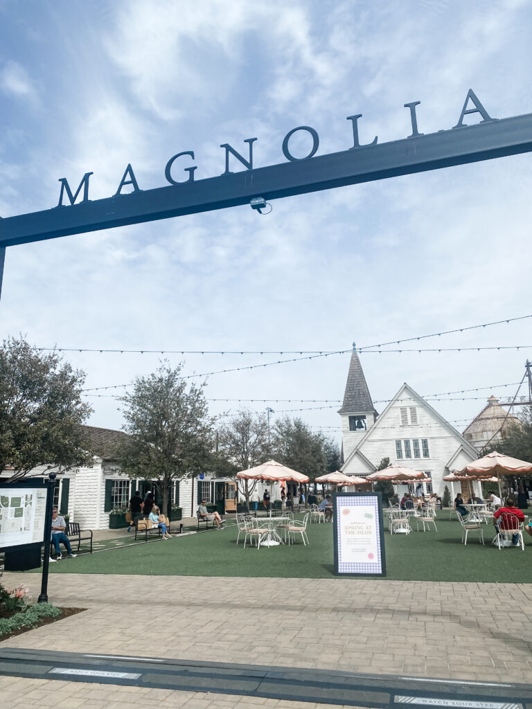 magnolia shops