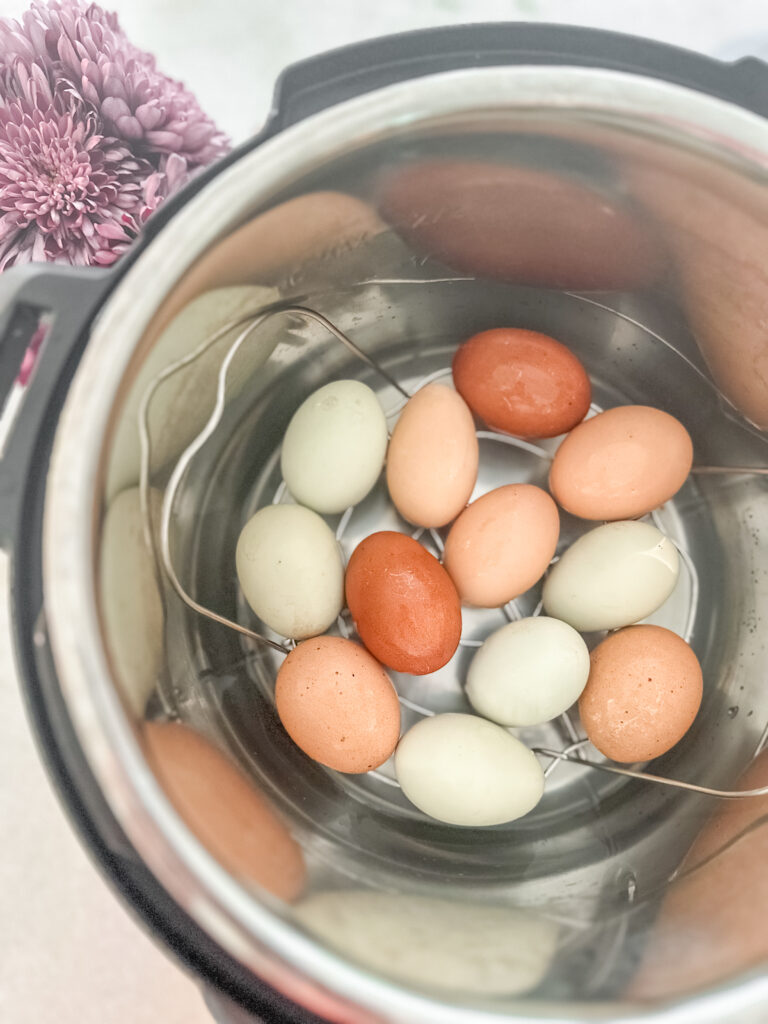 boiled eggs