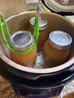 Placing Jars in Pressure Canner