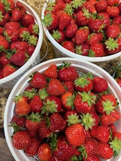 Half gallon buckets of strawberries