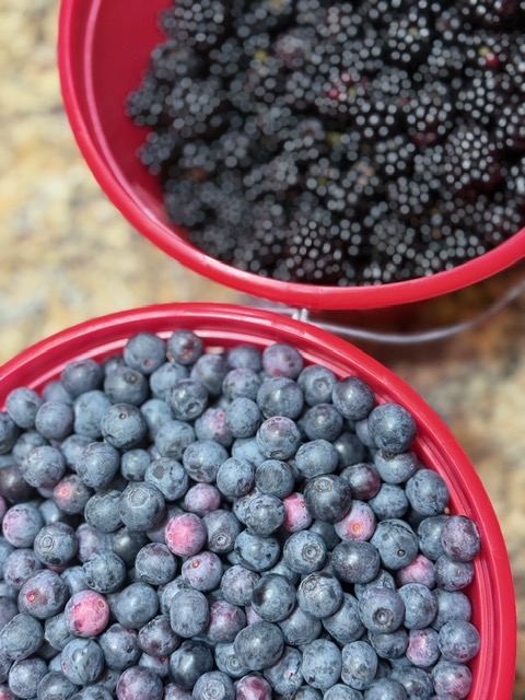 Blueberry and Blackberries in red buckets