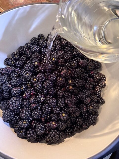 Pouring Water over blackberries in dutch oven