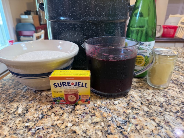 Blackberry Jelly Ingredients