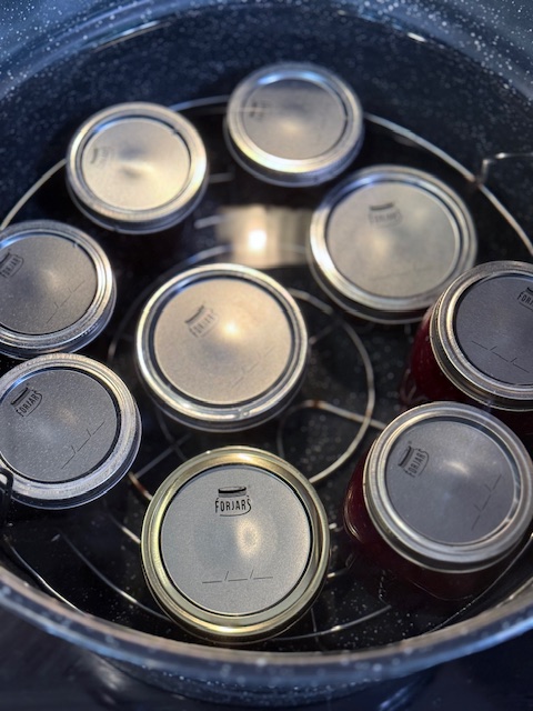 blackberry jelly in water bath canner