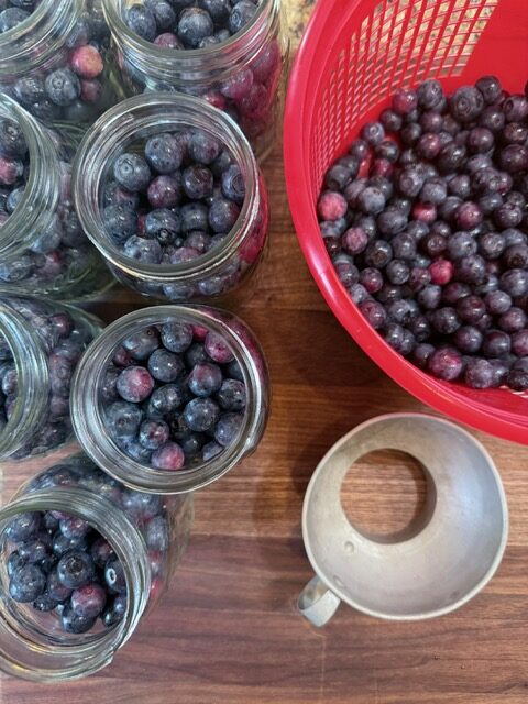 Blueberries in mason jar