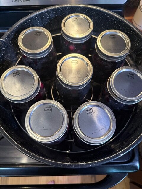 blueberry pie filling jars in water bath canner