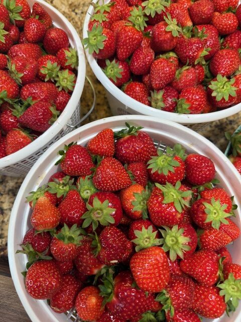 Strawberries
