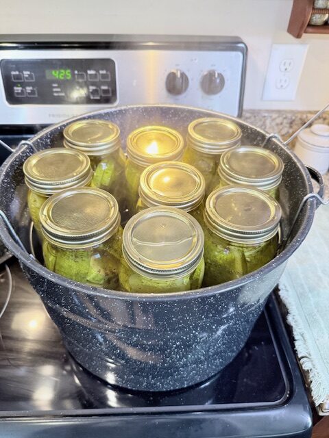 canned pickles in water bath canner