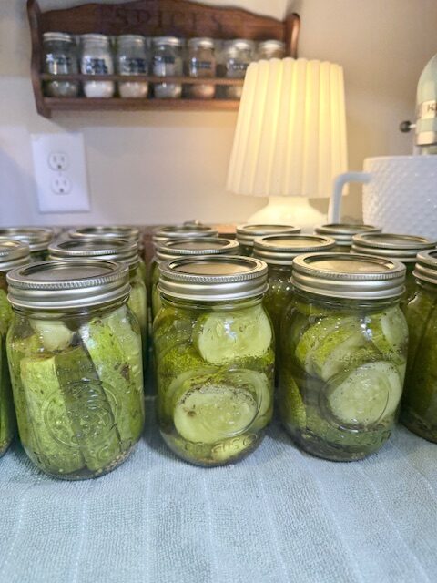 home canned pickles