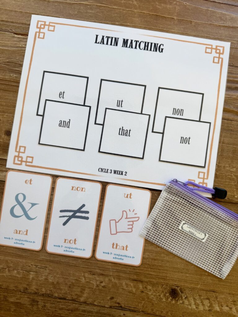 classical conversations cycle 3 latin